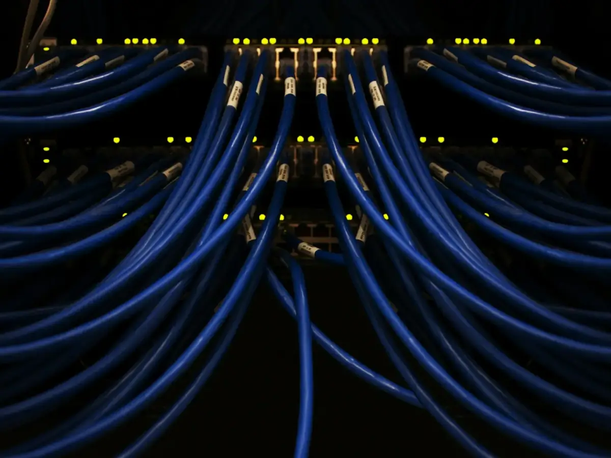 Viele beschriftete blaue Netzwerkkabel an Netzwerkkomponenten mit leuchtenden Status-LEDs